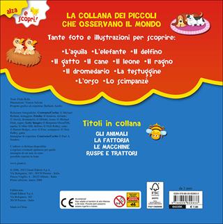 Gli animali. Ediz. a colori - Frida Rella - Libro Giunti Kids 2015, Alza e scopri | Libraccio.it