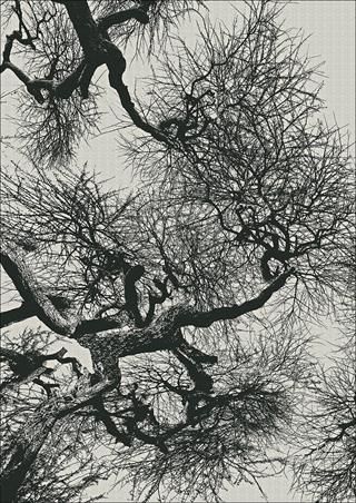 Ethiopia. Marco Paoli. Ediz. inglese  - Libro Giunti Editore 2015, Cataloghi arte | Libraccio.it