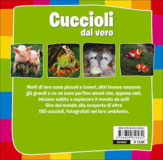 Cuccioli dal vero - Paola Fabris - Libro Giunti Kids 2015, Animali dal vero | Libraccio.it