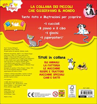Cani e gatti - Veronica Pellegrini - Libro Giunti Kids 2016, Alza e scopri | Libraccio.it