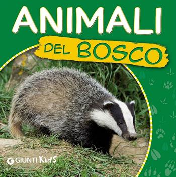 Animali del bosco. Ecco gli animali - Martina Boschi - Libro Giunti Kids 2016 | Libraccio.it