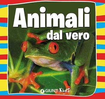 Animali dal vero - Emanuela Busà - Libro Giunti Kids 2016, Animali dal vero | Libraccio.it