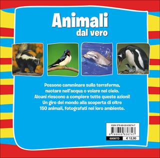Animali dal vero - Emanuela Busà - Libro Giunti Kids 2016, Animali dal vero | Libraccio.it