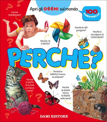 Perché? 100 finestrelle - Anna Casalis - Libro Dami Editore 2017, Apri gli occhi sul mondo | Libraccio.it