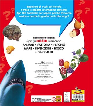 Perché? 100 finestrelle - Anna Casalis - Libro Dami Editore 2017, Apri gli occhi sul mondo | Libraccio.it
