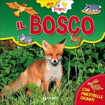 Il bosco. Ediz. a colori - Gianna Porciatti - Libro Giunti Editore 2017, Alza e scopri | Libraccio.it