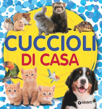 Cuccioli di casa - Veronica Pellegrini - Libro Giunti Kids 2018, Animali | Libraccio.it