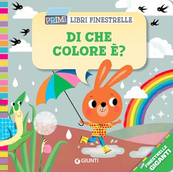 Di che colore è? Ediz. a colori - Anna Casalis - Libro Giunti Editore 2021 | Libraccio.it