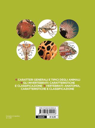 Zoologia - Adriana Rigutti - Libro Giunti Editore 2020, Atlanti scientifici | Libraccio.it