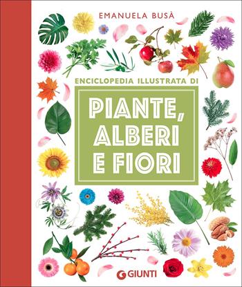 Enciclopedia illustrata di piante, alberi e fiori - Emanuela Busà - Libro Giunti Editore 2022, Piccole enciclopedie illustrate | Libraccio.it