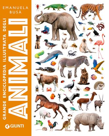 Grande enciclopedia illustrata degli animali. Ediz. a colori - Emanuela Busà - Libro Giunti Editore 2024, Animali e natura | Libraccio.it