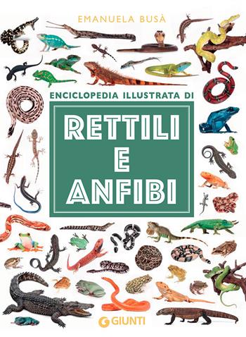 Enciclopedia illustrata di rettili e anfibi. Ediz. a colori - Emanuela Busà - Libro Giunti Editore 2022, Piccole enciclopedie illustrate | Libraccio.it