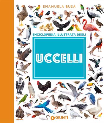 Enciclopedia illustrata degli uccelli - Emanuela Busà - Libro Giunti Editore 2023, Piccole enciclopedie illustrate | Libraccio.it