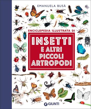 Insetti e altri piccoli artropodi - Emanuela Busà - Libro Giunti Editore 2022, Piccole enciclopedie illustrate | Libraccio.it