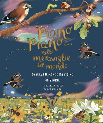 Piano piano... Nelle meraviglie mondo. Osserva il mondo da vicino. Ediz. a colori - Carl Wilkinson, Grace Helmer - Libro Giunti Editore 2022, Punti di vista. Ragazzi | Libraccio.it