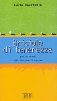 Briciole di tenerezza. Per educarsi allo stupore di essere - Carlo Rocchetta - Libro EDB 2005, Itinerari | Libraccio.it
