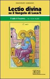 «Lectio divina» su il Vangelo di Luca. Vol. 5: Il sale è buono... (cc. 11,14-14,35)