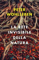 La rete invisibile della natura