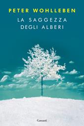 La saggezza degli alberi