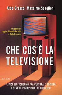 Che cos'è la televisione. Il piccolo schermo fra cultura e società: i generi, l'industria, il pubblico - Aldo Grasso, Massimo Scaglioni - Libro Garzanti 2003, Saggi | Libraccio.it