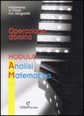 Operazione domino. Modulo AM: Analisi matematica. - Aurora Mangiarotti, Massimo Chiodi, Marina Scovenna - Libro CEDAM 2000 | Libraccio.it
