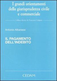Il pagamento dell'indebito - Antonio Albanese - Libro CEDAM 2004, I grandi orient. della giur. civ. comm. | Libraccio.it