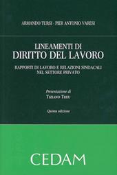 Lineamenti di diritto del lavoro. Rapporti di lavoro e relazioni sindacali nel settore privato