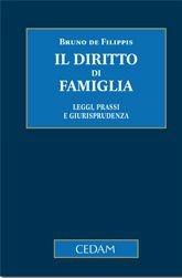 Il diritto di famiglia. Leggi, prassi e giurisprudenza - Bruno De Filippis - Libro CEDAM 2011 | Libraccio.it