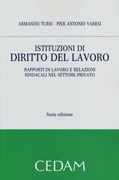 Istituzioni di diritto del lavoro. Rapporti di lavoro e relazioni sindacali nel settore privato