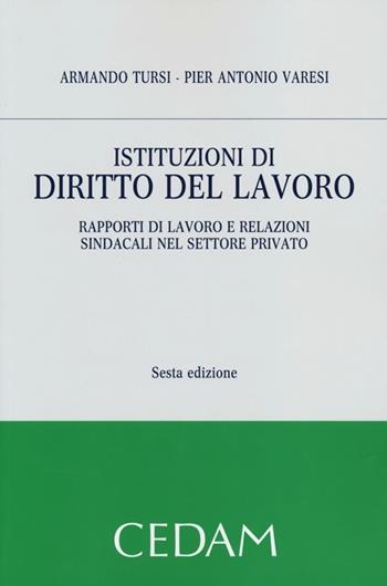 Istituzioni di diritto del lavoro. Rapporti di lavoro e relazioni sindacali nel settore privato - Armando Tursi, Pier Antonio Varesi - Libro CEDAM 2013 | Libraccio.it