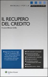 Il recupero del credito  - Libro CEDAM 2014, Manuali per la professione | Libraccio.it