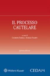 Il processo cautelare