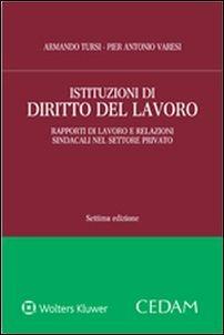Istituzioni di diritto del lavoro. Rapporti di lavoro e relazioni sindacali nel settore privato - Armando Tursi, Pier Antonio Varesi - Libro CEDAM 2016 | Libraccio.it