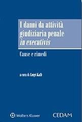 Danni da attività giudiziaria penale in executivis. Cause e rimedi - Luigi Kalb - Libro CEDAM 2017 | Libraccio.it