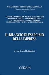 Il bilancio d'esercizio delle imprese