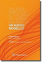 Efficienza energetica ed efficienza del sistema dell'energia: un nuovo modello?