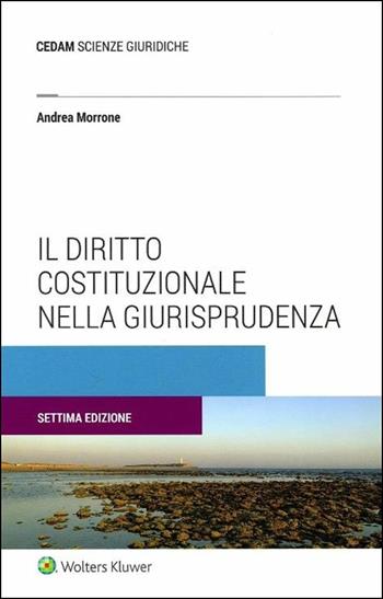 Il diritto costituzionale nella giurisprudenza - Andrea Morrone - Libro CEDAM 2018 | Libraccio.it