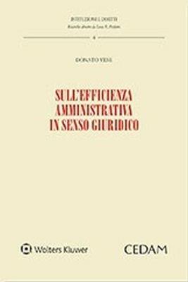 Sull'efficienza amministrativa in senso giuridico - Donato Vese - Libro CEDAM 2018, Istituzioni e diritti | Libraccio.it