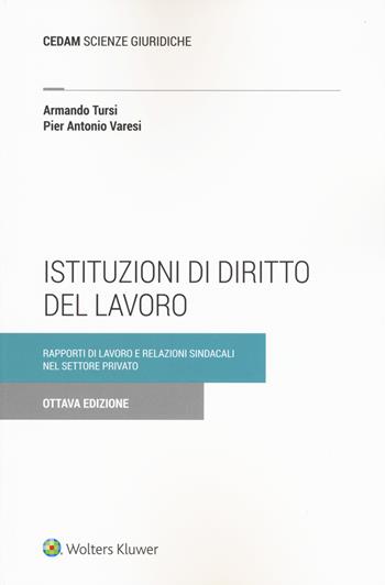 Istituzioni di diritto del lavoro. Rapporti di lavoro e relazioni sindacali nel settore privato - Armando Tursi, Pier Antonio Varesi - Libro CEDAM 2019 | Libraccio.it
