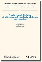 Principi generali del diritto. Diritti fondamentali e tutela giurisdizionale: nuove questioni