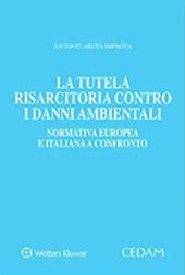 La tutela risarcitoria contro i danni ambientali