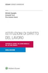 Istituzioni di diritto del lavoro. Rapporti di lavoro e relazioni sindacali nel settore privato