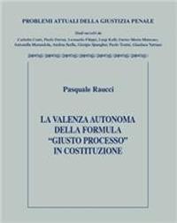 La valenza autonoma della formula "giusto processo" in Costituzione - Pasquale Raucci - Libro CEDAM 2023 | Libraccio.it