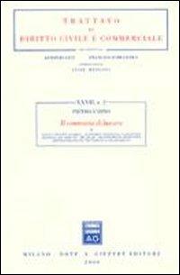 Il contratto di lavoro. Vol. 1: Fonti e principi generali. Autonomia individuale e collettiva. Disciplina del mercato. Tipi legali. Decentramento produttivo.... - Pietro Ichino - Libro Giuffrè 2000, Trattato di diritto civile e commerciale | Libraccio.it