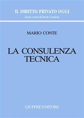 La consulenza tecnica