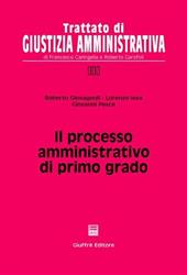 Il processo amministrativo di primo grado