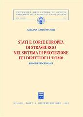 Stati e Corte europea di Strasburgo nel sistema di protezione dei diritti dell'uomo. Profili processuali