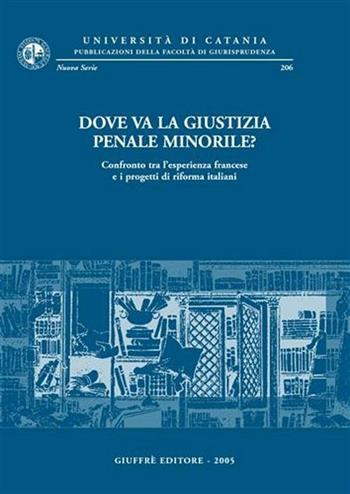 Dove va la giustizia penale minorile? Confronto tra l'esperienza francese e i progetti di riforma italiani  - Libro Giuffrè 2005, Univ. Catania-Fac. giurisprudenza. NS | Libraccio.it