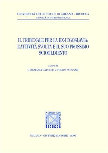 Il Tribunale per la ex-Jugoslavia: l'attività svolta e il suo prossimo scioglimento  - Libro Giuffrè 2007, Univ. Milano Bicocca-Fac. giurisprudenza | Libraccio.it