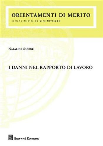 I danni nel rapporto di lavoro - Natalino Sapone - Libro Giuffrè 2009 | Libraccio.it